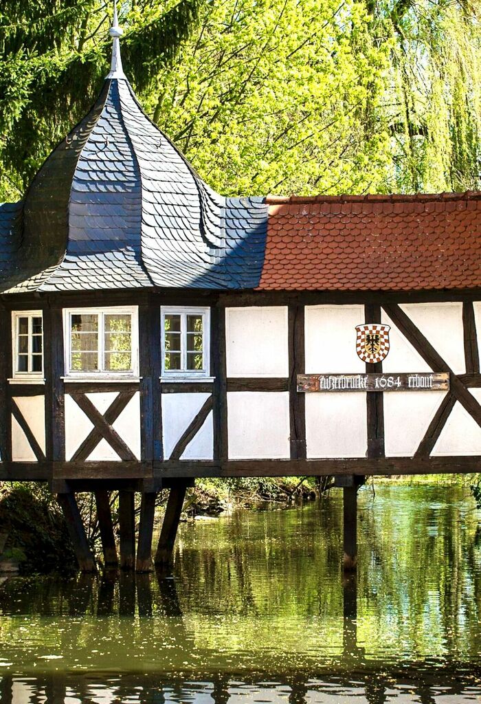 OnlineDialog2112_jk (1).jpg