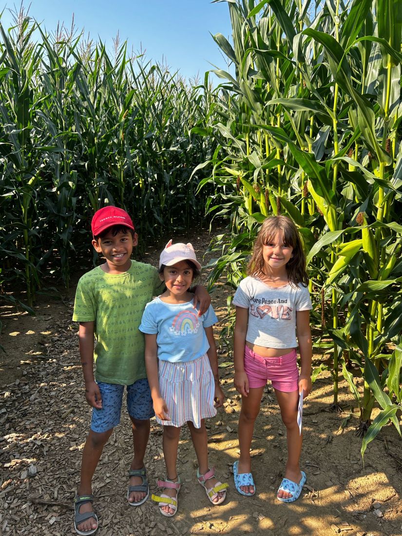 sommerferienrosbach3 kg