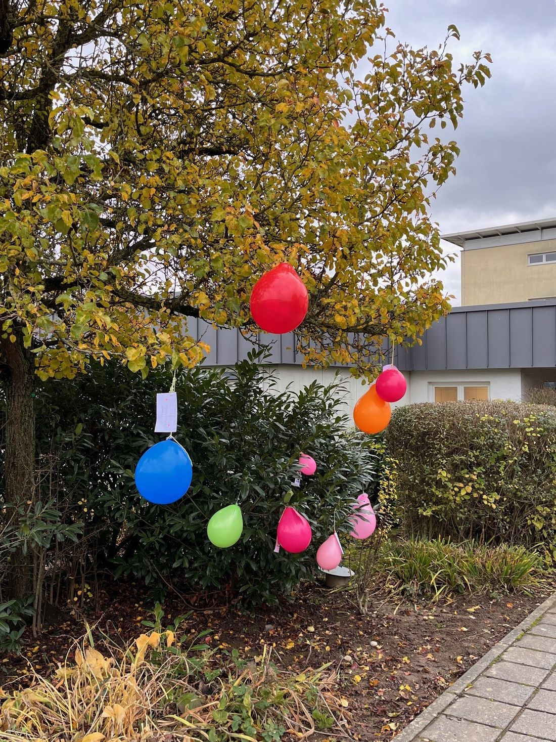 kinderrechtrosbach az6