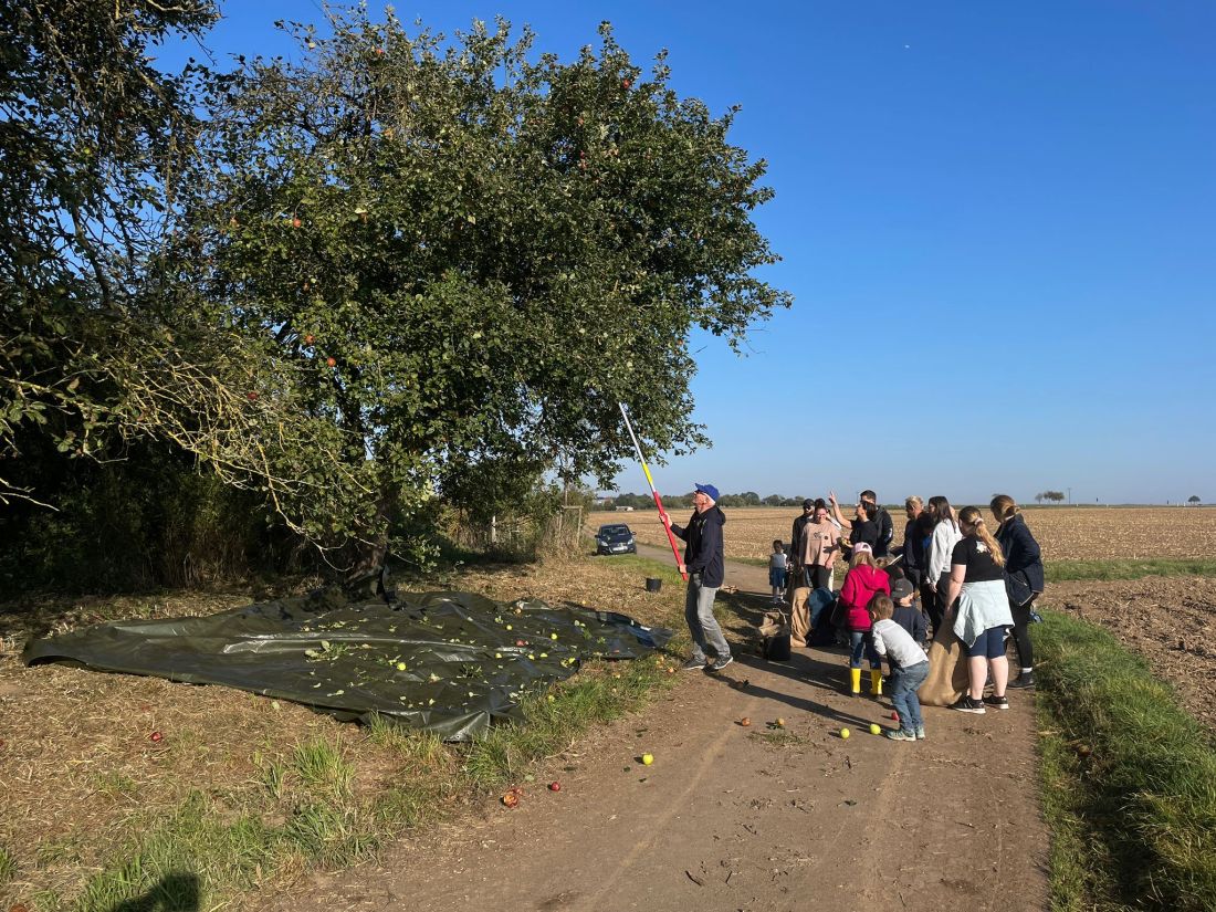 Vom Baum ins Glas2 AG