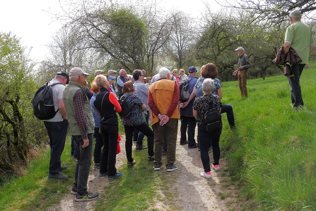 kirchenbergblueten az3