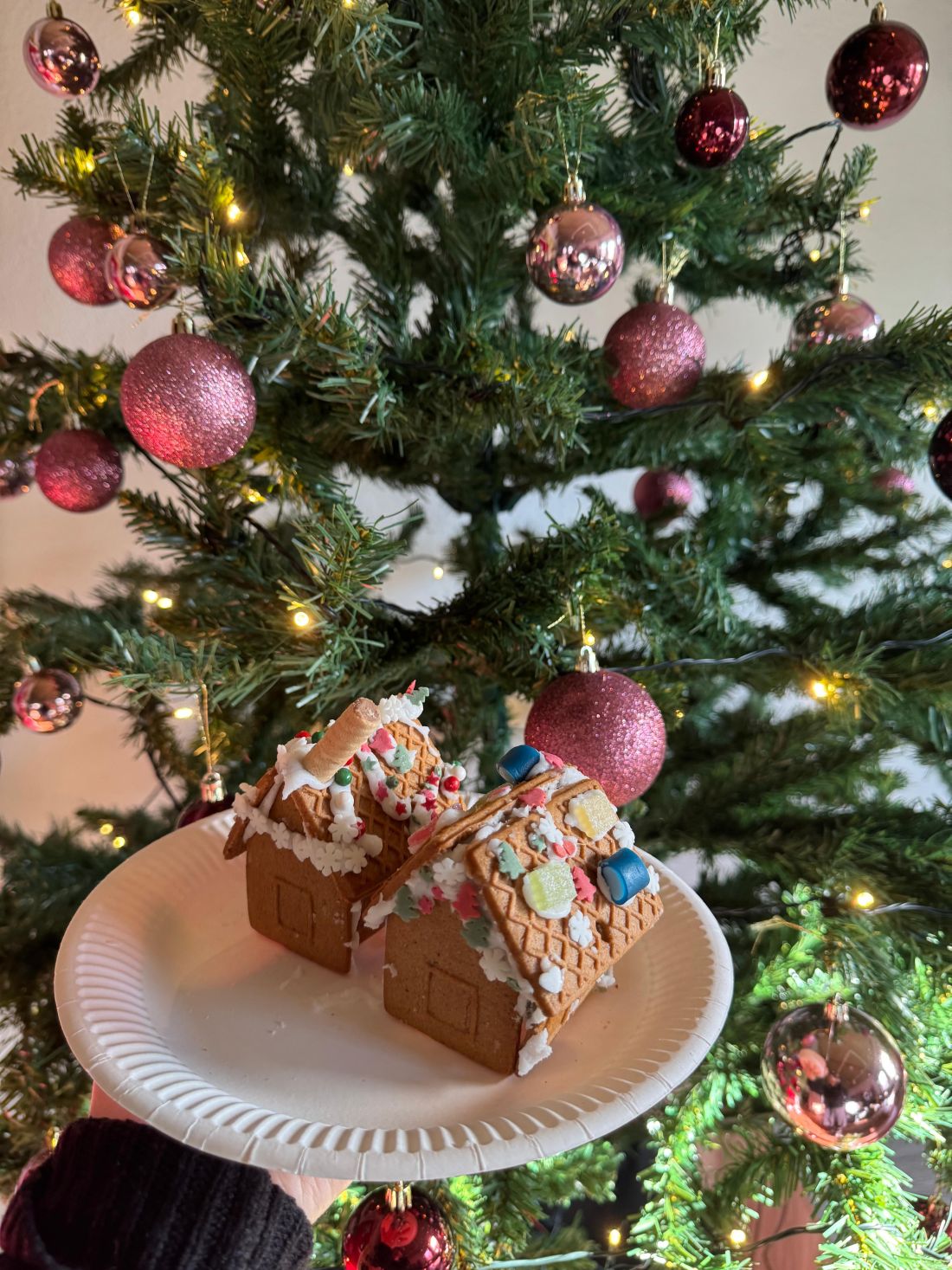 Weihnachtsstimmung bei den Winteraktionen der Jungendarbeit 20242 AG