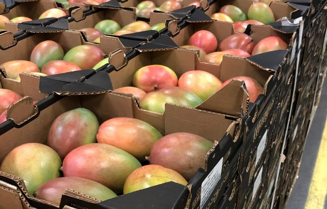 rekordjahrpflanzenschutzdienst2 kg