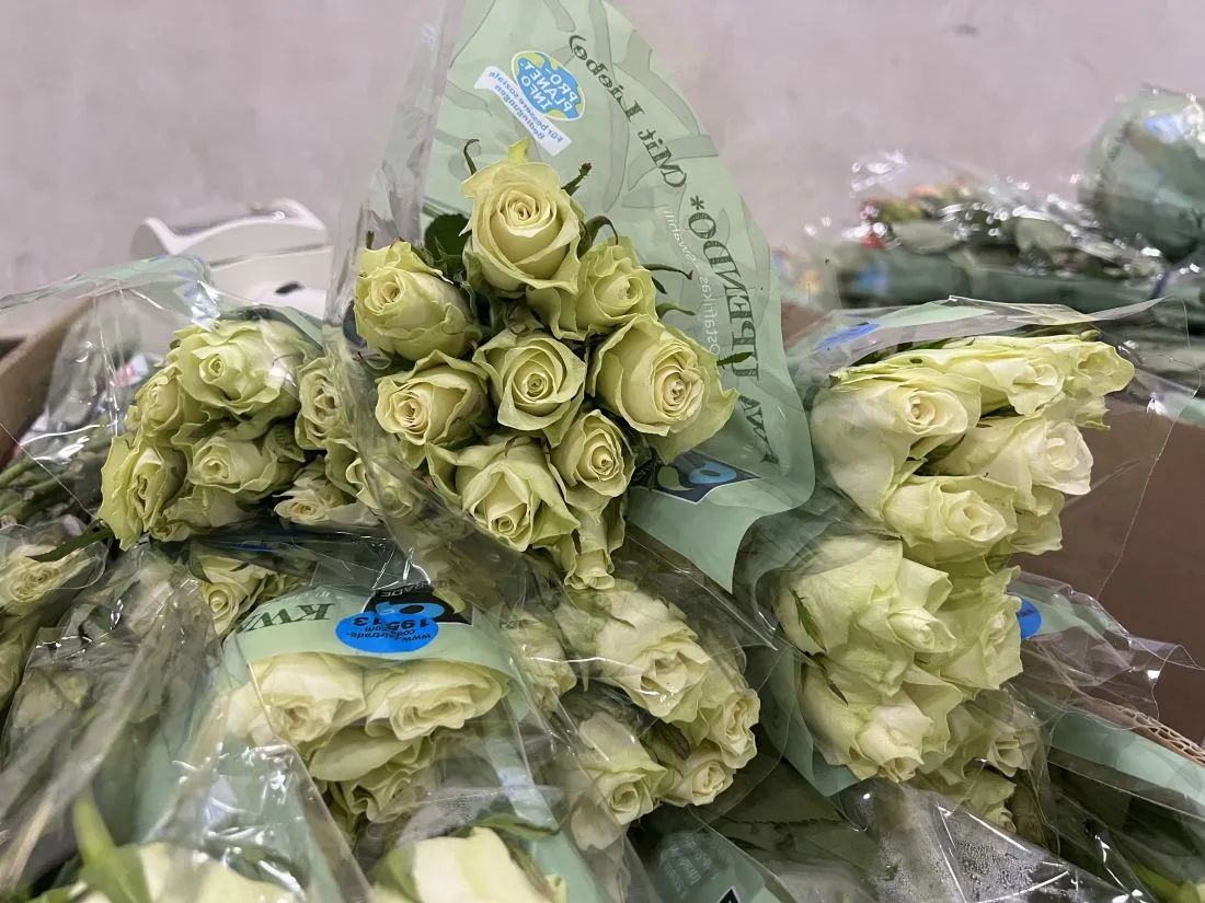 rekordjahrpflanzenschutzdienst3 kg