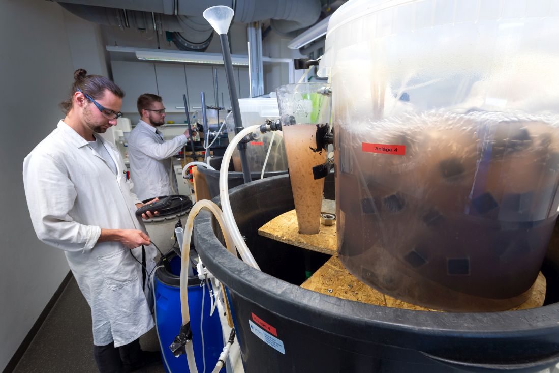 praktischerversuch2 kg