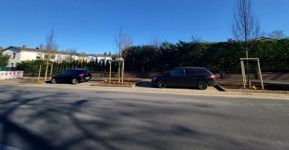 Pflanzungen im Stadtgebiet AG